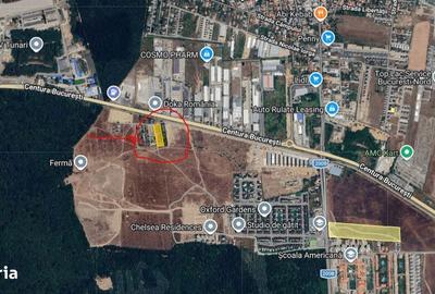 Spațiu comercial, în Tunari - 8