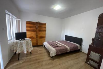 Proprietate in Novaci - langa supermarket Penny - 13