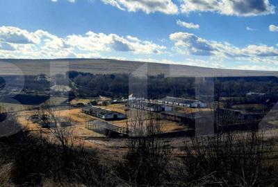 Teren de 49856 mp, în Someșeni - 7