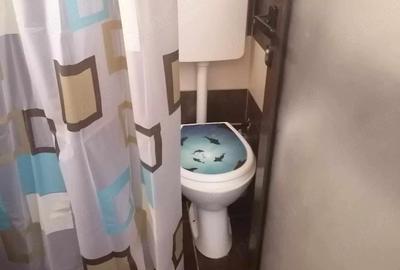Garsonieră decomandată în Circumvalațiunii - 2