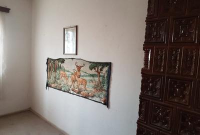 Casa de vanzare (Com. Calmatuiu, sat Nicolae Balcescu) - 5