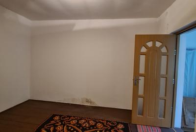 Casa individuala/sat Dobreni comuna Varasti - 16