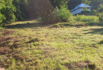 Teren de 7000 mp, în Ștubeie Tisa - 12