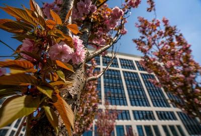 Birouri de inchiriat in Bucharest Business Garden - cladirea B - 6