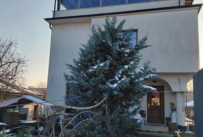 Casă cu 5 camere cu Teren 300 Mp în Jilava - 5