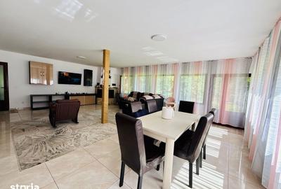 Casă cu 4 camere cu Teren 5500 Mp în Pojorâta - 9