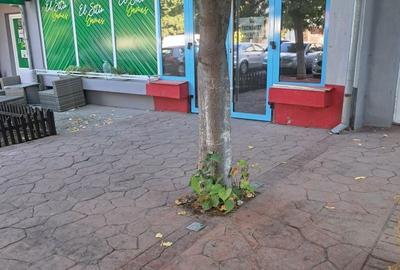 Spațiu comercial, de 24 mp, în Exterior Vest - 2