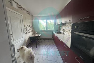 Casă individuală cu 11 camere cu Canalizare în Dristor - 6