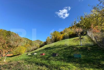 Casa cu 3 camere, zona Ruda Brad - 12