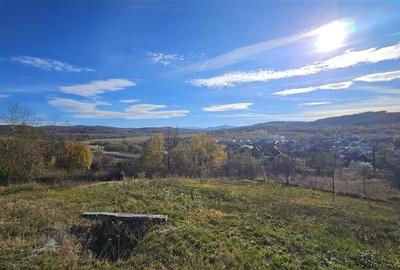 Rezidenta noua, oportunitate personalizare, peste 1.500mp, Persani, Brasov - 13