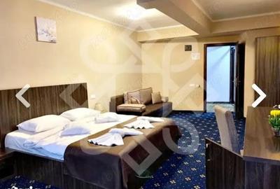 Spațiu comercial, de 2,900 mp, în Băile Felix - 8