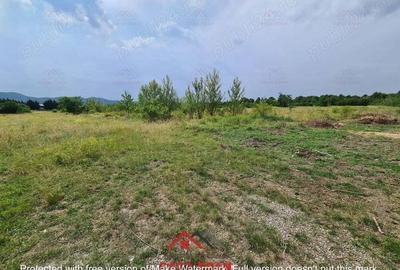 Teren intravilan in Banesti--3727mp--40e - 7