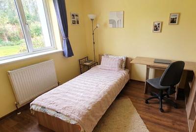 Apartament cu 2 camere în Grigorescu - 2