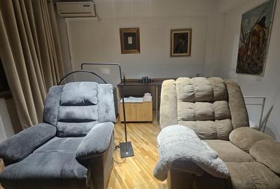 Vila ideal birouri, clinica estetica, stomatologica,langa parc Herastrau - 2