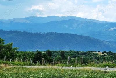 Teren de 5700 mp, în Central - 4