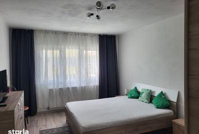 Garsonieră în Sânmartin - 4