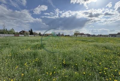 Teren Sat Bacel 6200 mp - 1