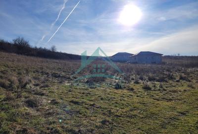 Oportunitate de investitie! Teren intravilan de vanzare in zona lacului Chinteni - 5