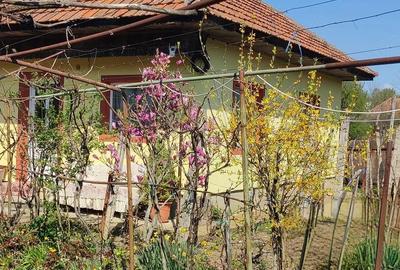 Casă cu 3 camere cu Teren 2000 Mp în Magherești - 8