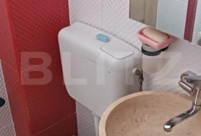 Garsonieră decomandată în Alexandru cel Bun - 8