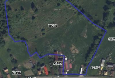 Teren de 33300 mp, în Tulgheș - 1