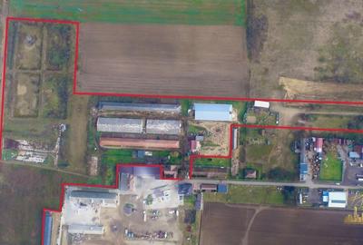 Domeniu - Centru de colectare, 7 ha de vanzare in Valea lui Mihai - 4