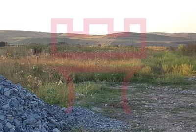 Vanzare teren pentru hala in zona strazii Valea Chintaului PUZ aprobat - 3