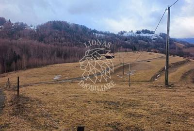 Teren de 8335 mp, în Săcuieu - 13
