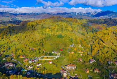COMISION 0% Teren 1,564mp Moieciu de Jos/ Intravilan - 9