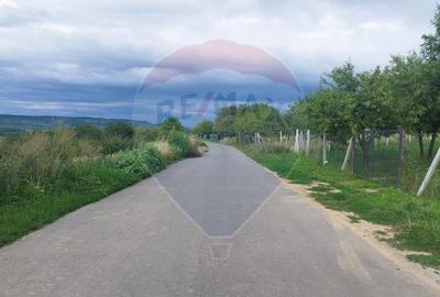 TEREN INTRAVILAN 2900 mp SIMLEU SILVANIEI/ Str. Corneliu Coposu/Salaj - 4