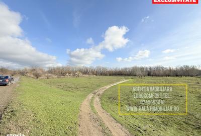 Teren de 6000 mp, în Bărboși