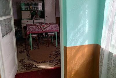 Casă cu Teren 376 Mp în Central