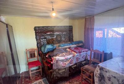 Casa batraneasca locuibila cu teren generos Ghilane - 11