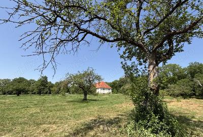 De vanzare Conacul istoric Apor din Zalan, cu teren de 15.691 m - 8