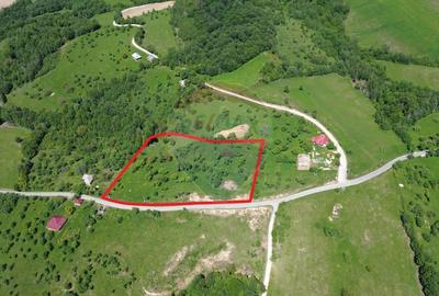 Teren intravilan de vanzare 12,700mp Codru Butesii / Strada Principala