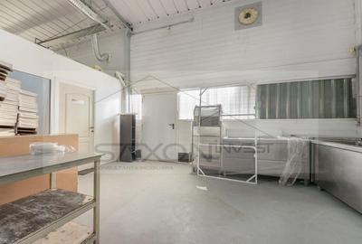 Inchirieri Spatii industriale ILFOV - SUD JILAVA - 13