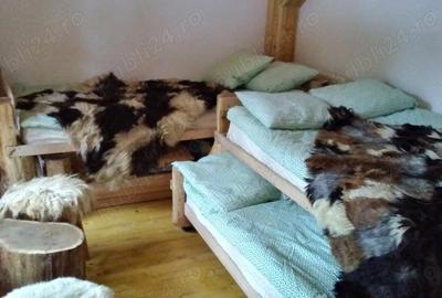 Casă cu 6 camere în Plaiul Foii - 5