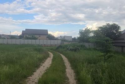 Teren de 4000 mp, în Bordei - 1