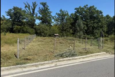 Teren Construcții intravilan de 545 mp, în Padeș - 5