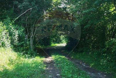 Teren Construcții intravilan de 3871 mp, în Vărmaga - 8