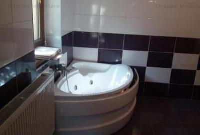 Gradina Mare 4 cam caramida RENOVATA 120mp utili teren 254m - 4