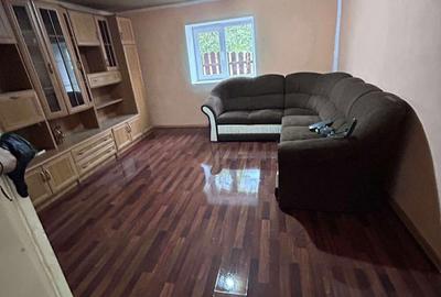 Casă cu 2 camere în Șepreuș - 8