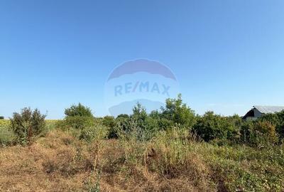 Teren Tartasesti aproape de complexul reziden?ial Buna ... - 3