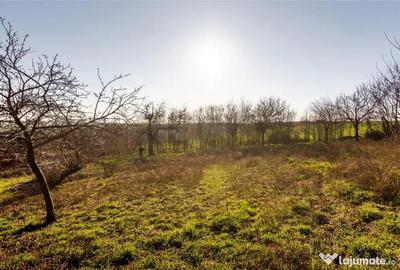 Casă cu 3 camere cu Teren 800 Mp în Cetariu - 11