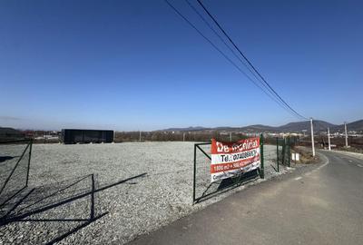 Spațiu comercial, în Exterior Vest - 7