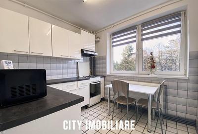 Apartament 2 camere decomandat, Iulius Mall - 9