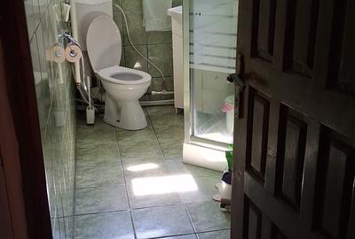 Apartament 3 camere DECOMANDAT, Frumoasa, Zona linistita - 8