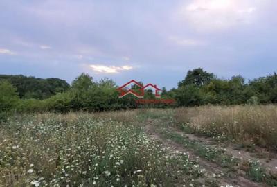 Teren de 38000 mp, în Gușterița