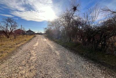 Vand casa si teren, sat Picior de Munte, com.Dragodana, jud.Dambovita - 6