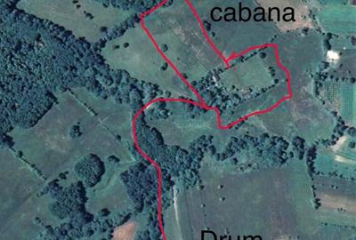 Teren de 12200 mp, în Vicovu de Jos - 1